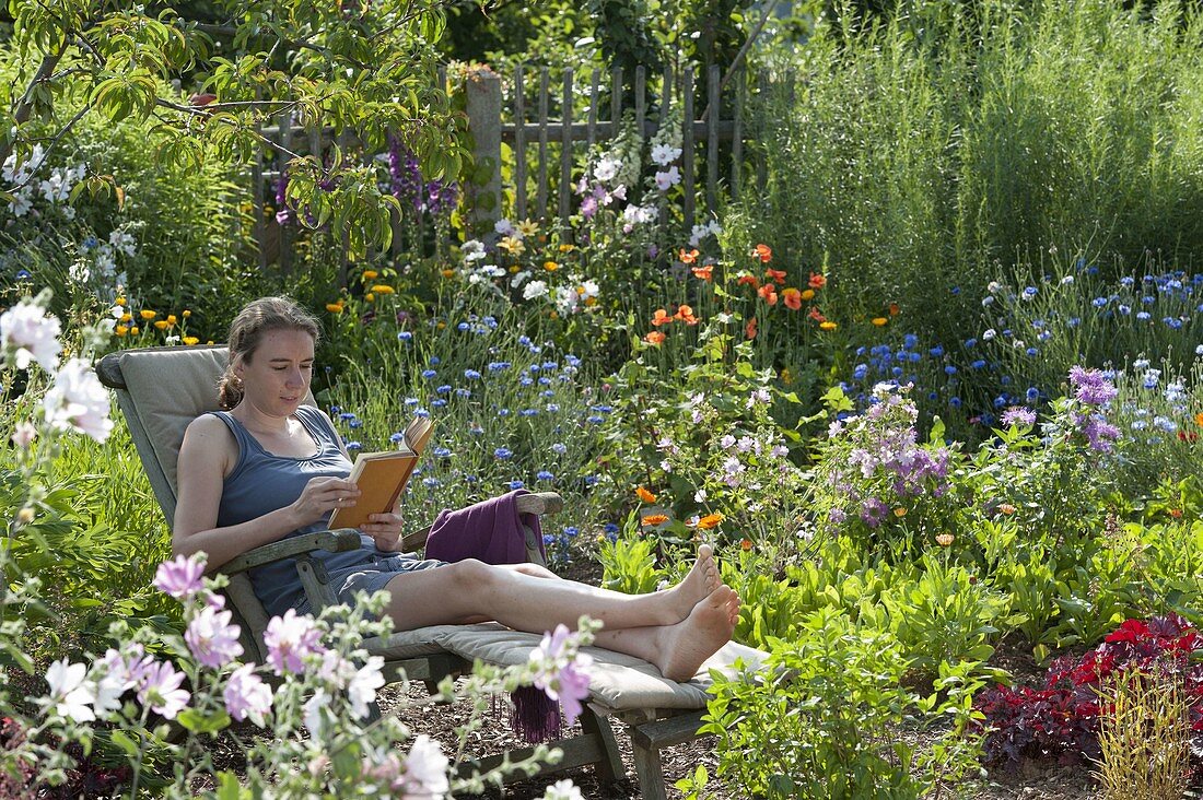 Liegestuhl im Naturgarten mit Sommerblumen : Centaurea (Kornblumen)