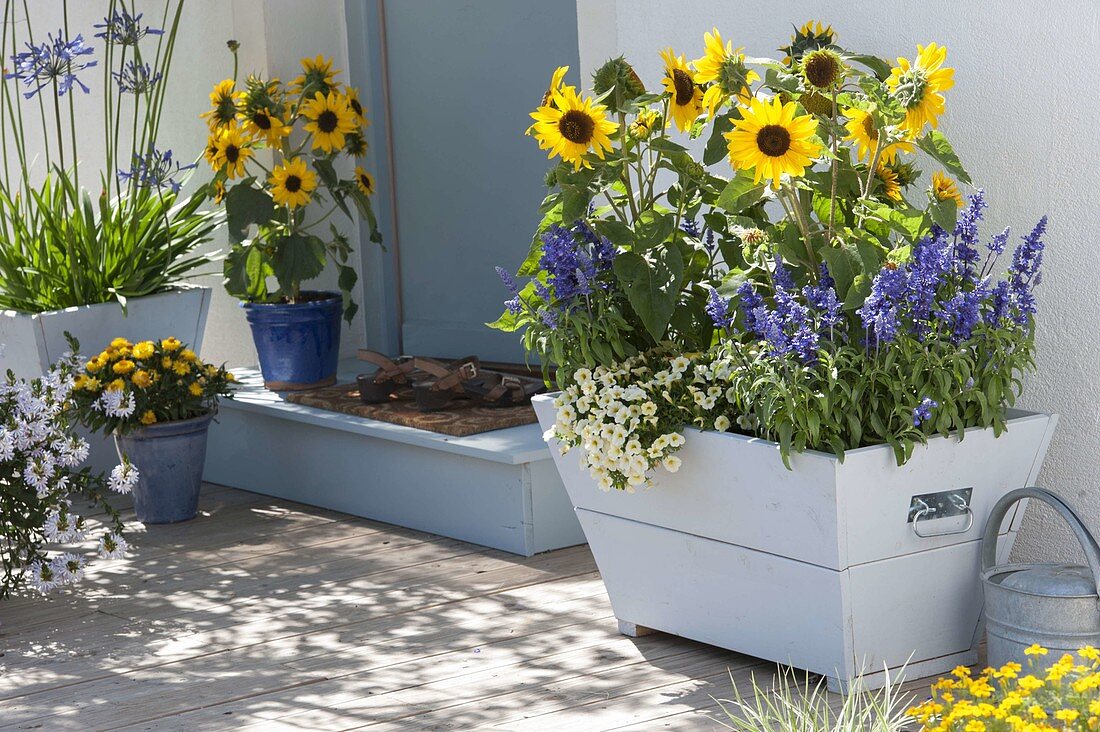 Self-made wooden boxes planted with summer flowers