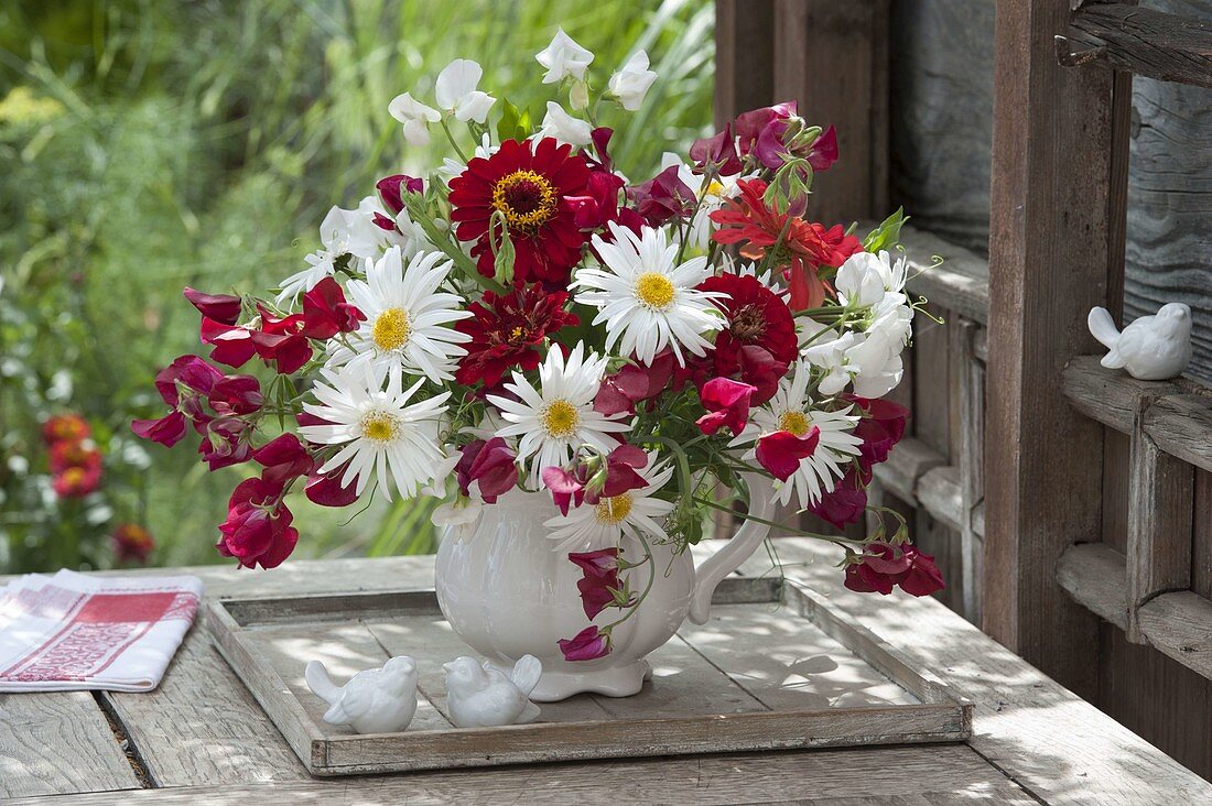 Rot-weisser Strauss aus Leucanthemum x superbum (Margeriten), Zinnia