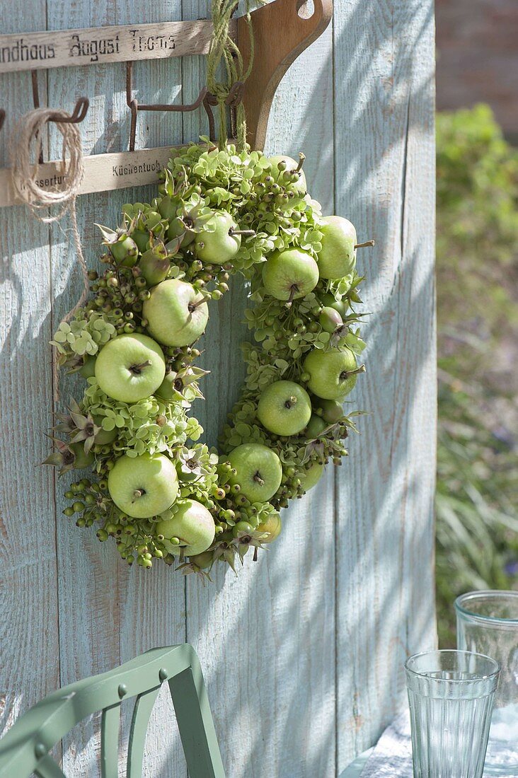 Green wreath of apples (Malus), pinks (rosehips) and hydrangea flowers