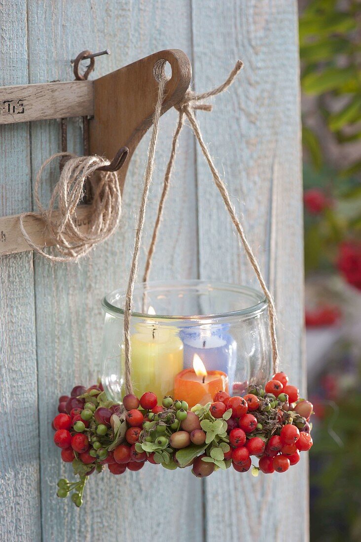 Lantern in berry wreath, Sorbus aucuparia 'Edulis' (rowan)