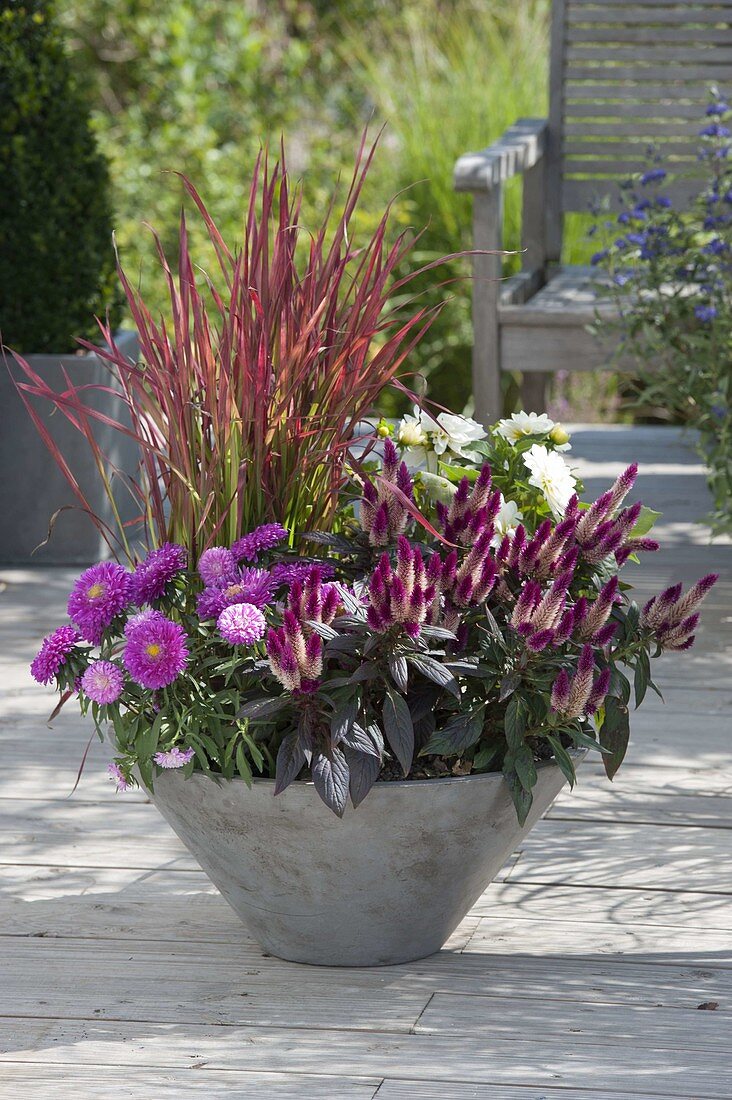 Late summer planted bowls at the house entrance