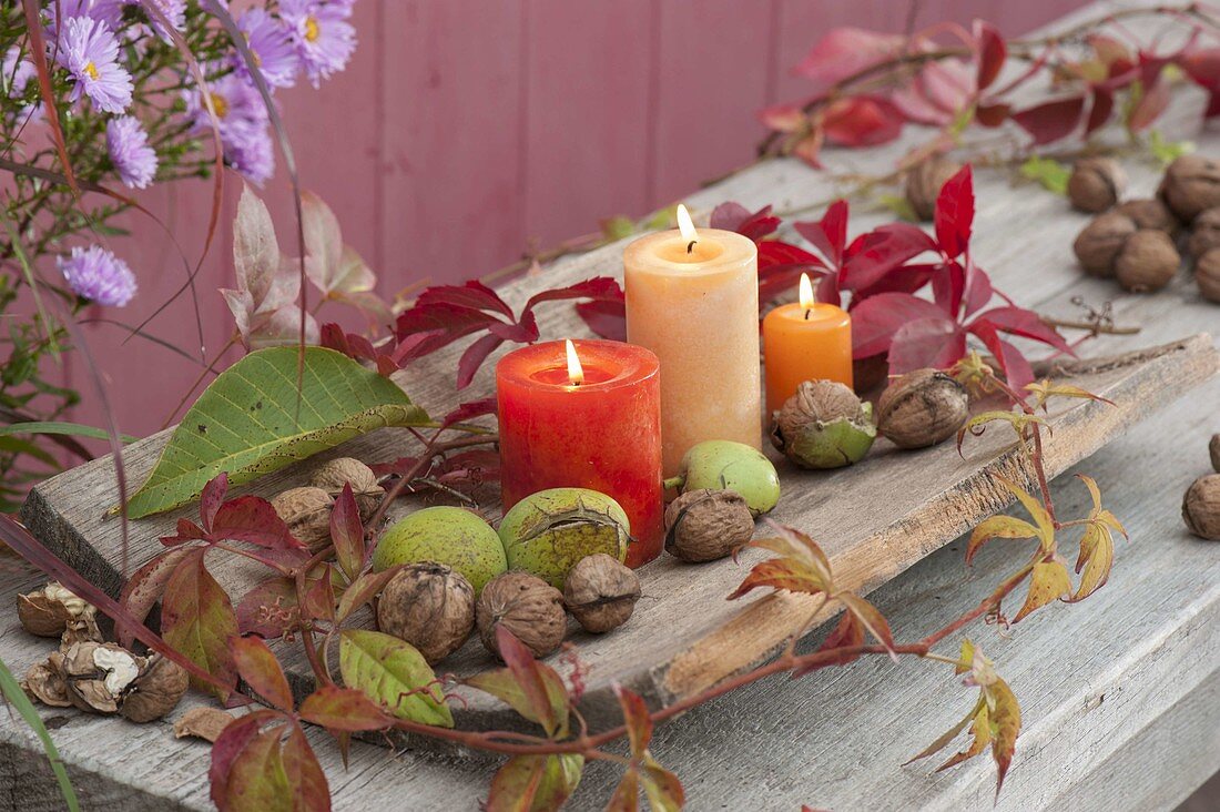 Candles on curved wooden board, decorated with walnuts