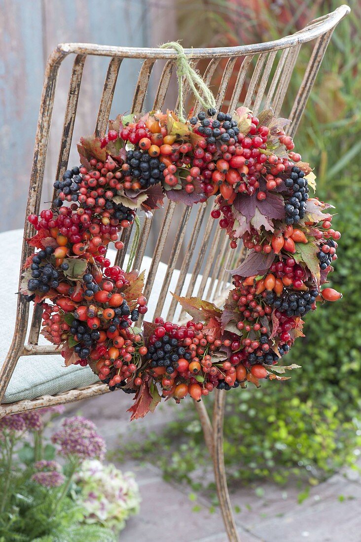 Wreath of berries and autumn leaves hung on the back of the chair: Aronia (chokeberry)