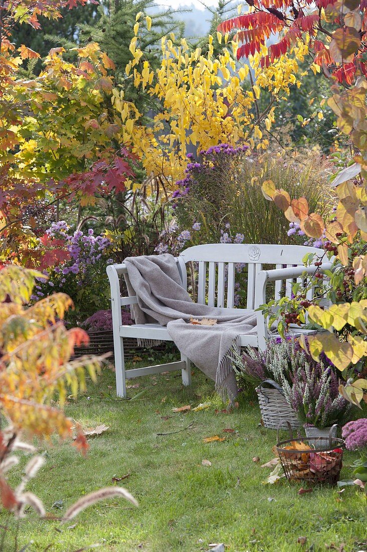 Small sitting area with wooden bench on the lawn between beds with shrubs