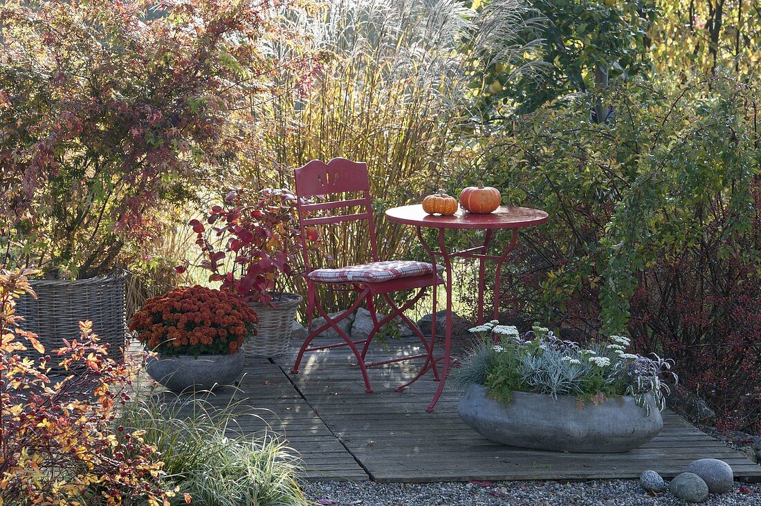 Small autumn terrace between grasses and groves