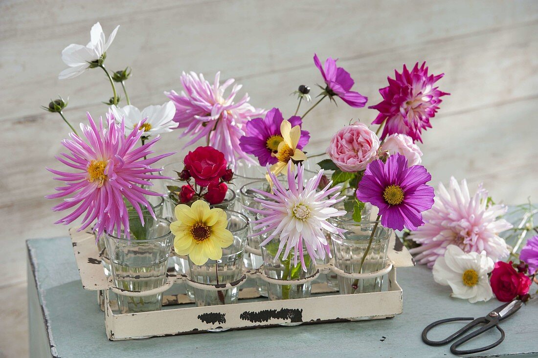 Single flowers in small jars