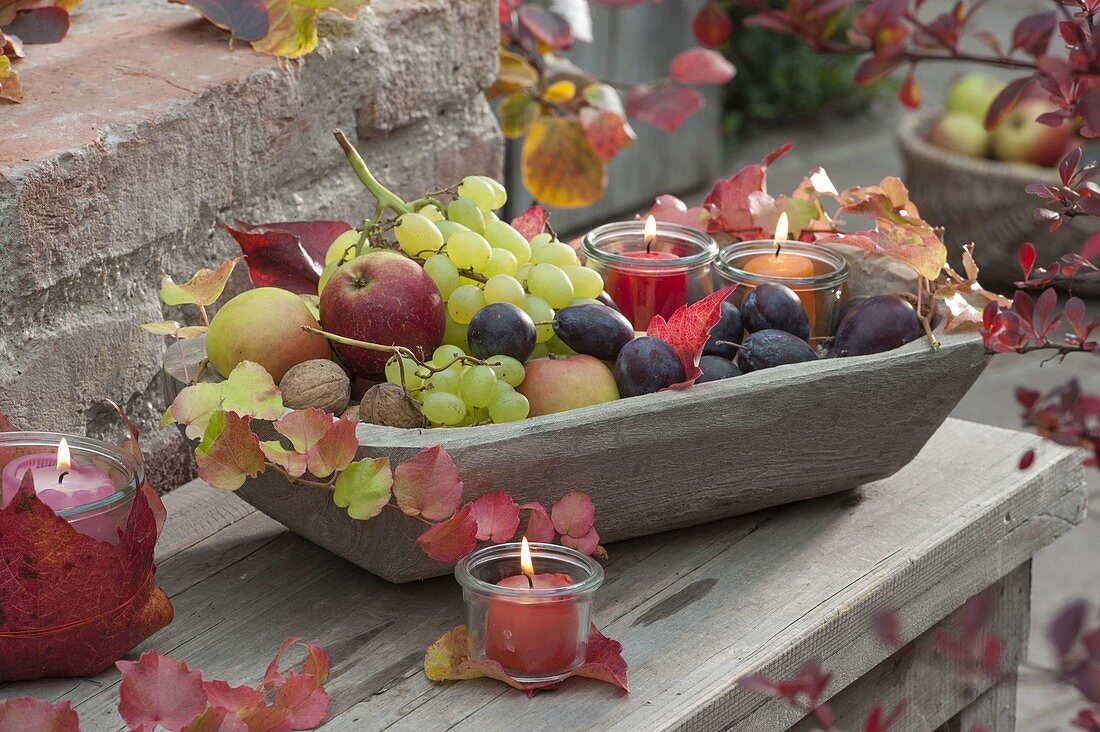 Obstschale aus Holz gefüllt mit Weintrauben (Vitis vinifera), Zwetschgen