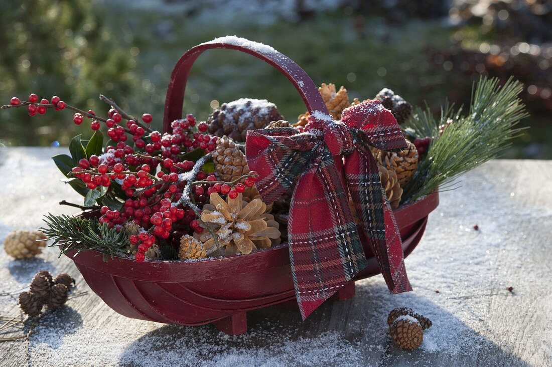 Roter Spankorb mit weihnachtlichem Dekomaterial : Ilex (Rote Winterbeere