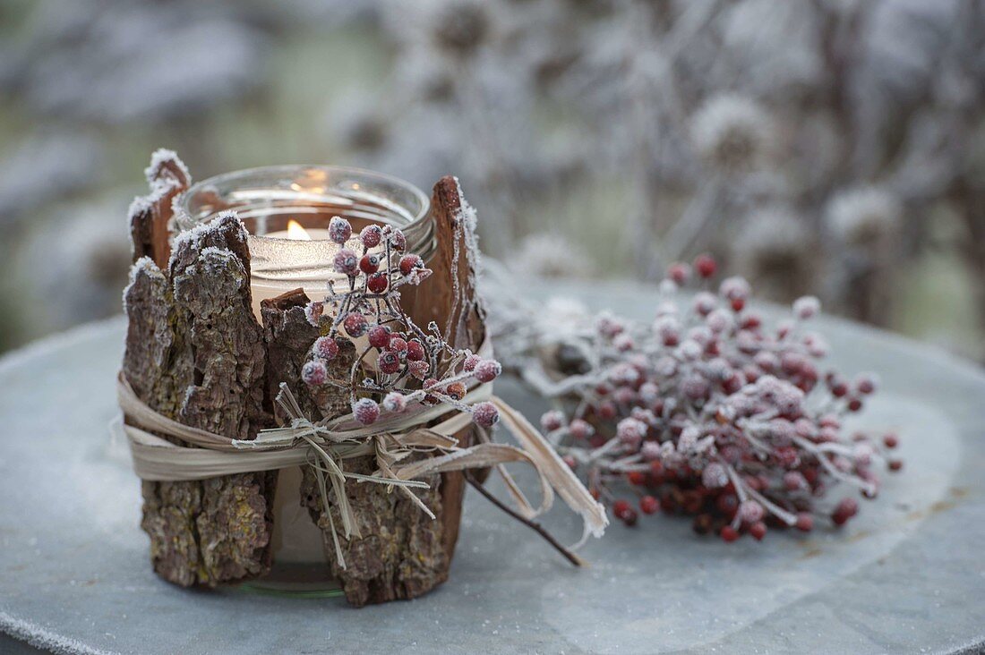 Preserving jar dressed as a lantern with bark and with frozen rose hips