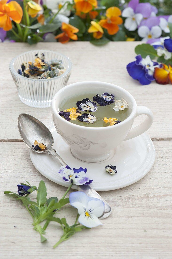 Viola - Blüten trocknen für Tee