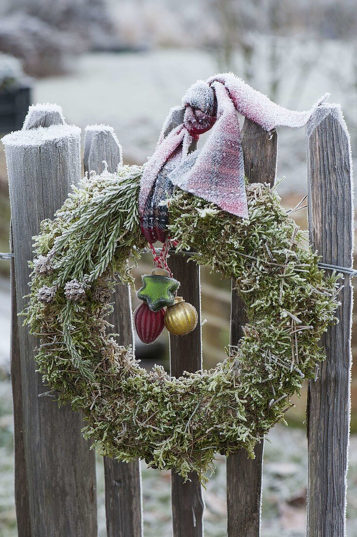 Frozen moss wreath with cryptomeria and tree decorations