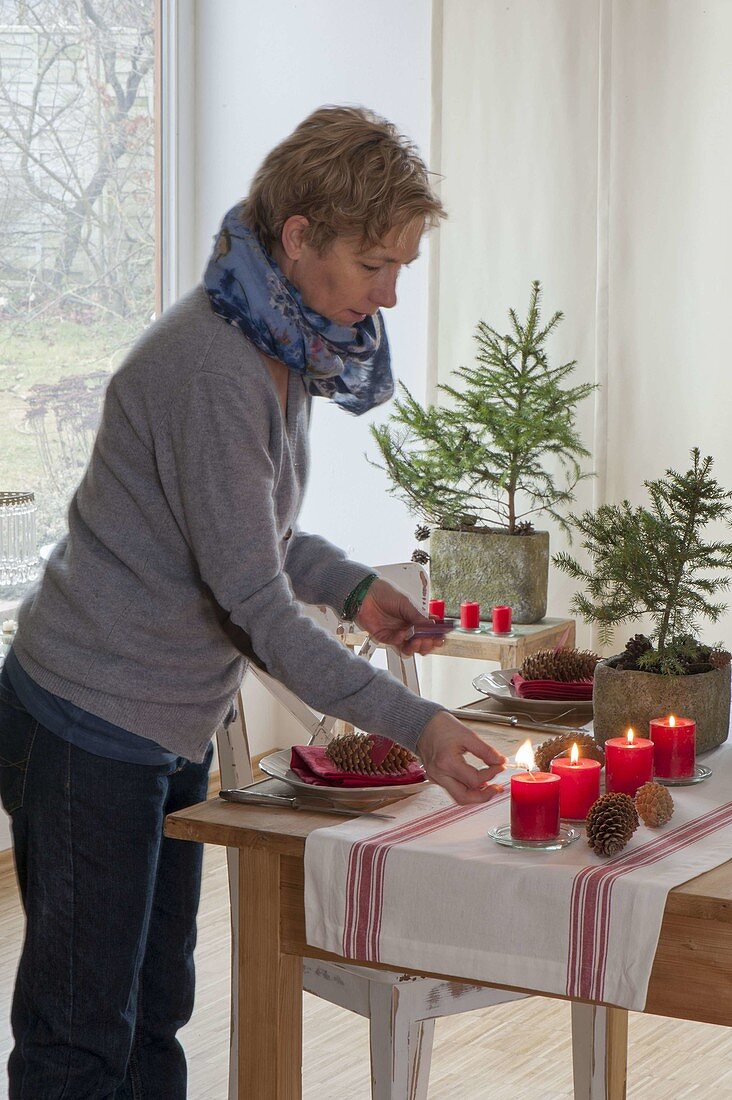 Frau dekoriert Advents-Tisch mit Jungpflanzen von Picea abies (Rotfichten)