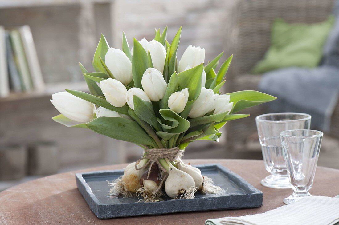 Stehstrauss aus weissen Tulipa (Tulpen) mit Zwiebeln