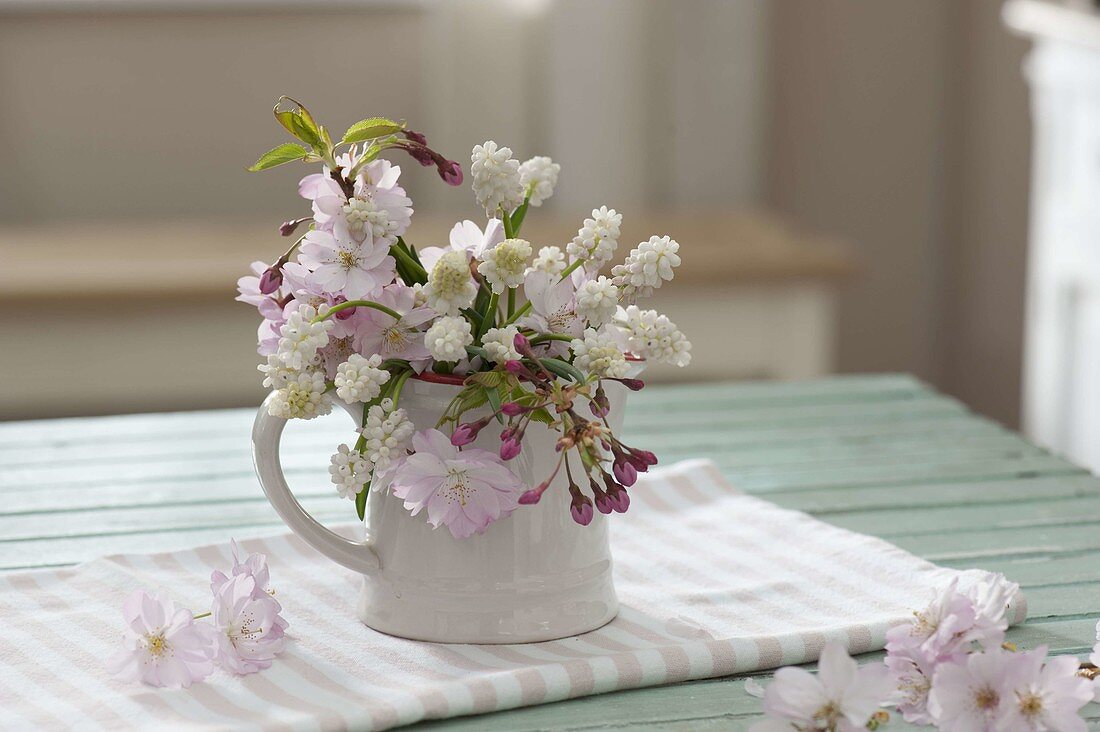 Small bouquet from Muscari Aucheri 'Magic White'