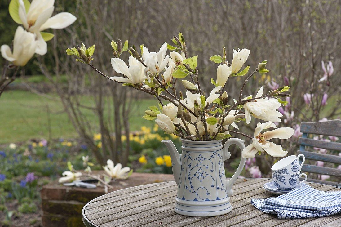 Magnolia denudata 'Golden Dream' bouquet