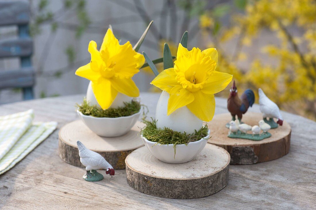 Small Easter decoration, Narcissus flowers in eggs as a vase