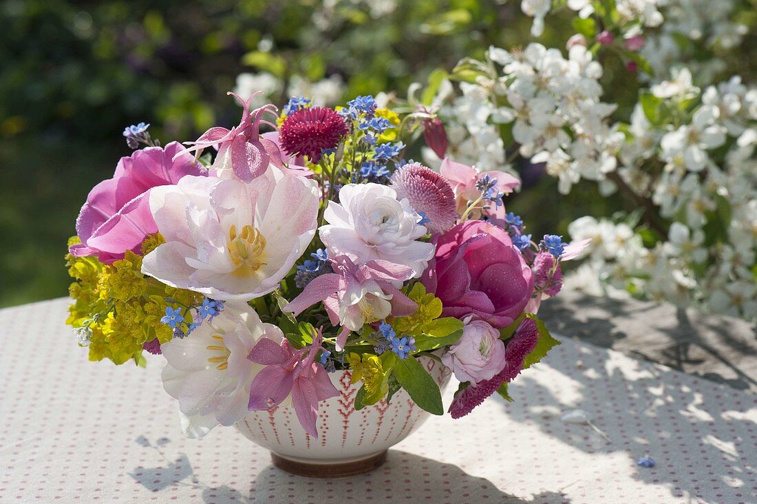 Kleines Frühlings-Sträusschen in Schale : Tulipa (Tulpen), Ranunculus
