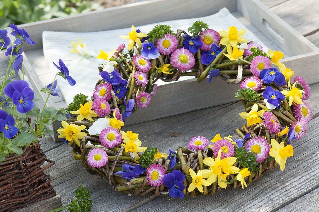 Wreath of willow twines, decorated with Narcissus 'Tete a Tete'