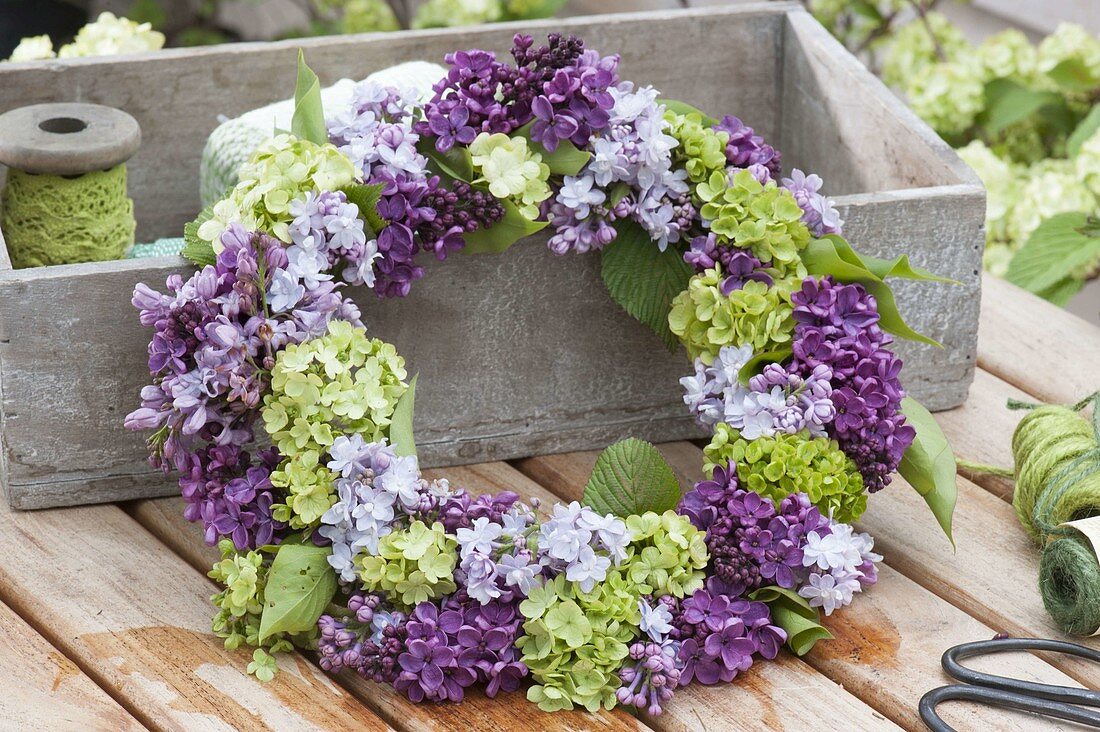 Fragrant syringa and viburnum wreath