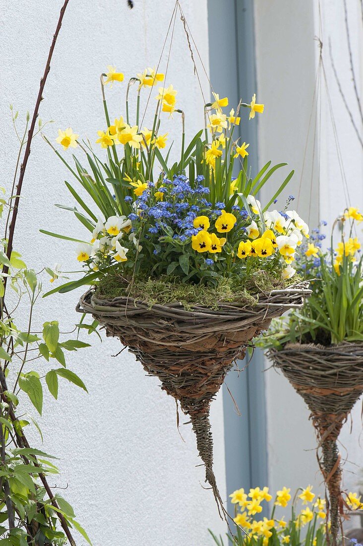 Hanging basket made from different branches