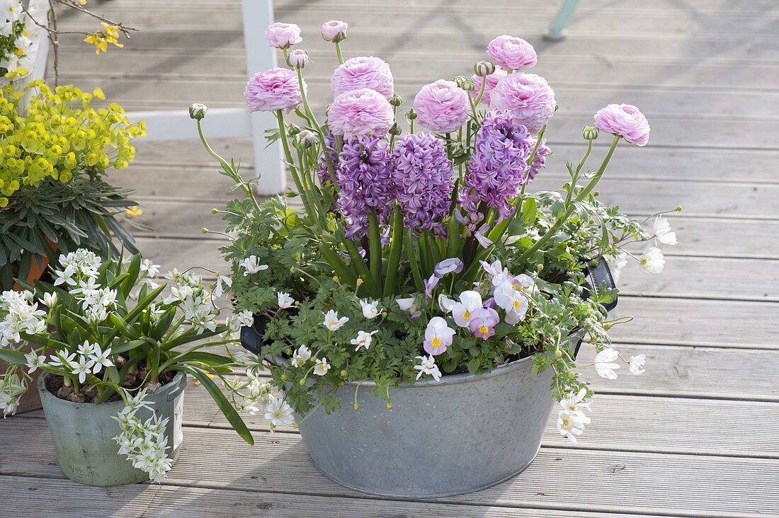 Zinc tub planted in pink-white