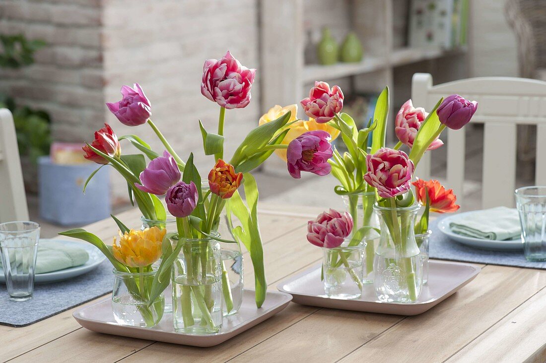 Table decoration with blooming Tulipa (tulip) in glasses