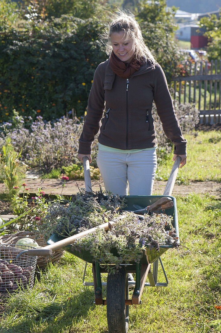 Woman clearing vegetable garden in autumn