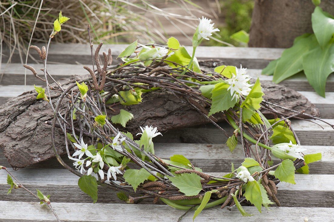 Maiengruen : Kranz aus Zweigen von Betula (Birke), dekoriert mit Blüten