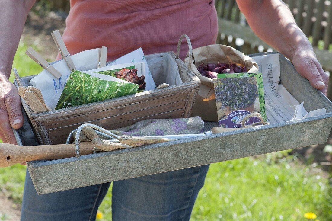 Frau hält Zink-Kasten mit Zubehör für die Aussaat im Gemüsegarten