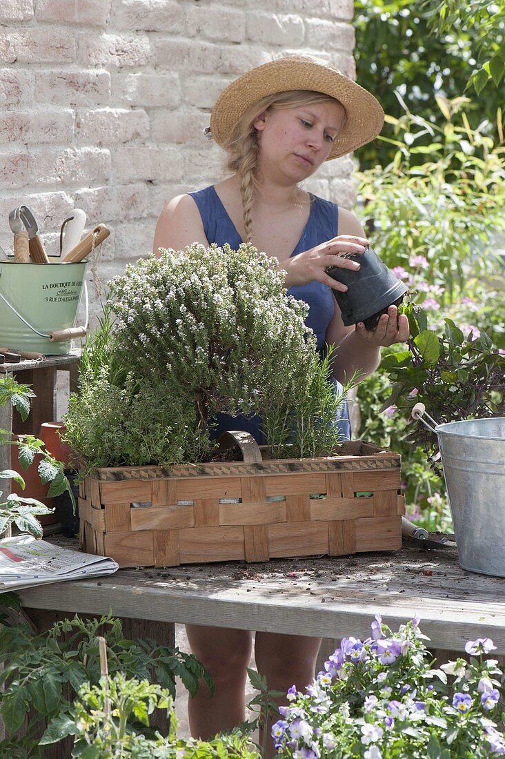 Woman planting spank basket with herbs