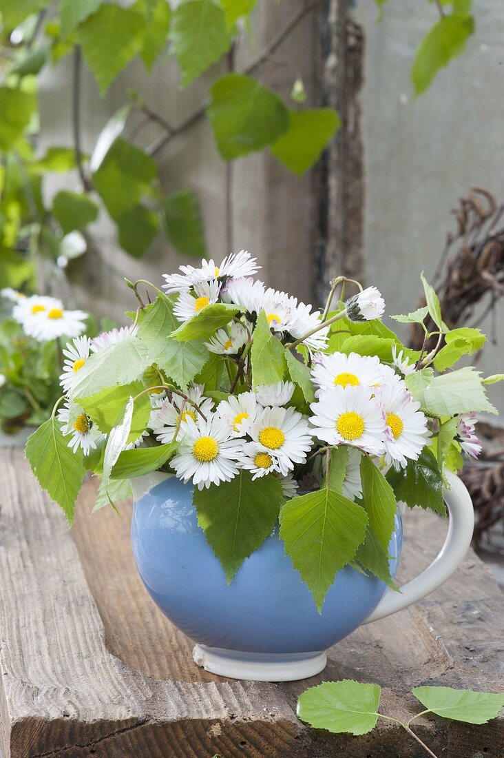 Maiengrün, mini-bouquet made of Bellis perennis (daisies)