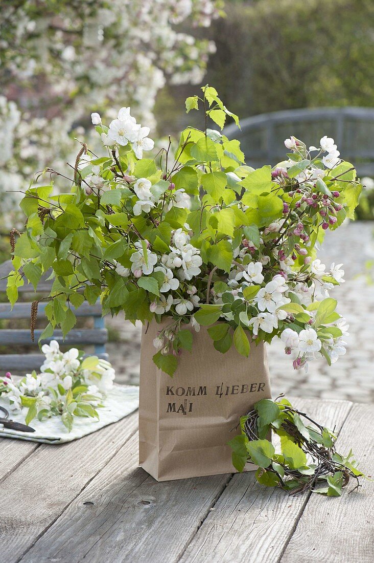 Maiengrün branches of Betula and Malus in paper bag