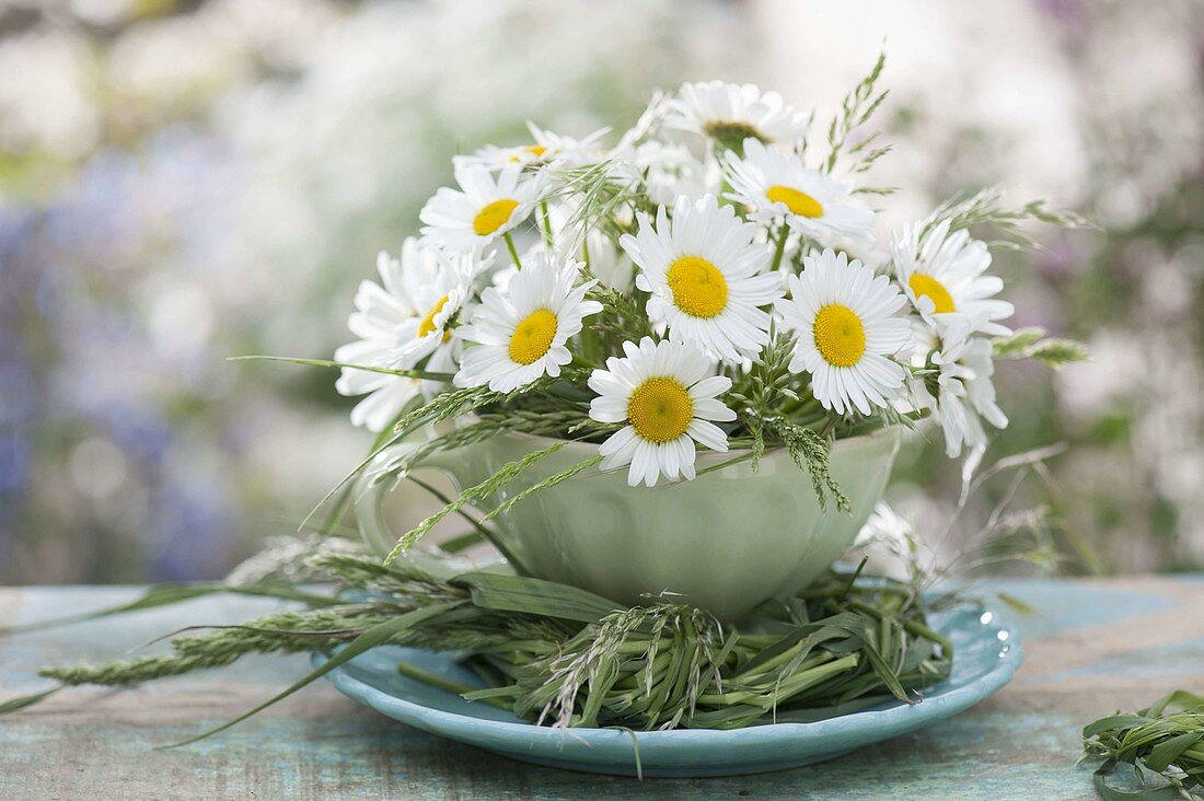 Kleiner Strauss aus Leucanthemum vulgare (Margeriten) und Gräsern