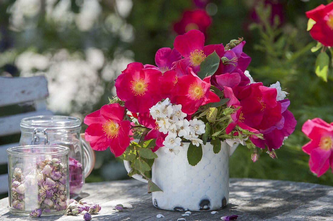 Strauss aus Rosa gallica 'Scharlachglut' und R. multiflora (Rosen)