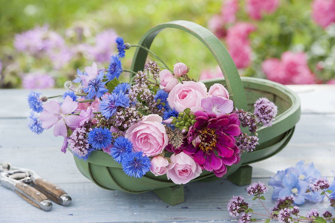 Basket with freshly cut flowers: Centaurea cyanus (cornflowers)