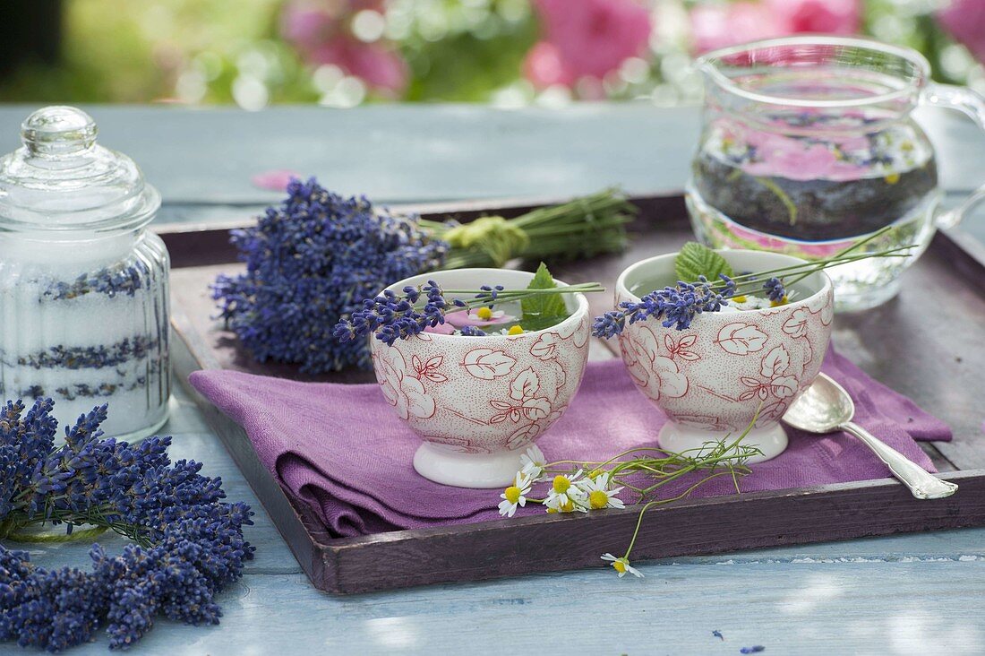 Entspannungstee aus Lavendel (Lavandula), Blüten von Rosa (Rosen)