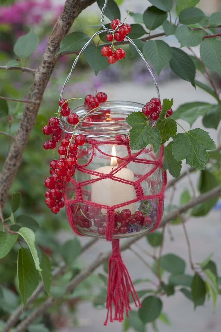 Preserving jar with macrame as lantern on tree