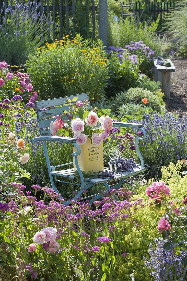 Stuhl mit frisch geschnittenen Rosa (Rosen) in Blechdose und Lavendel
