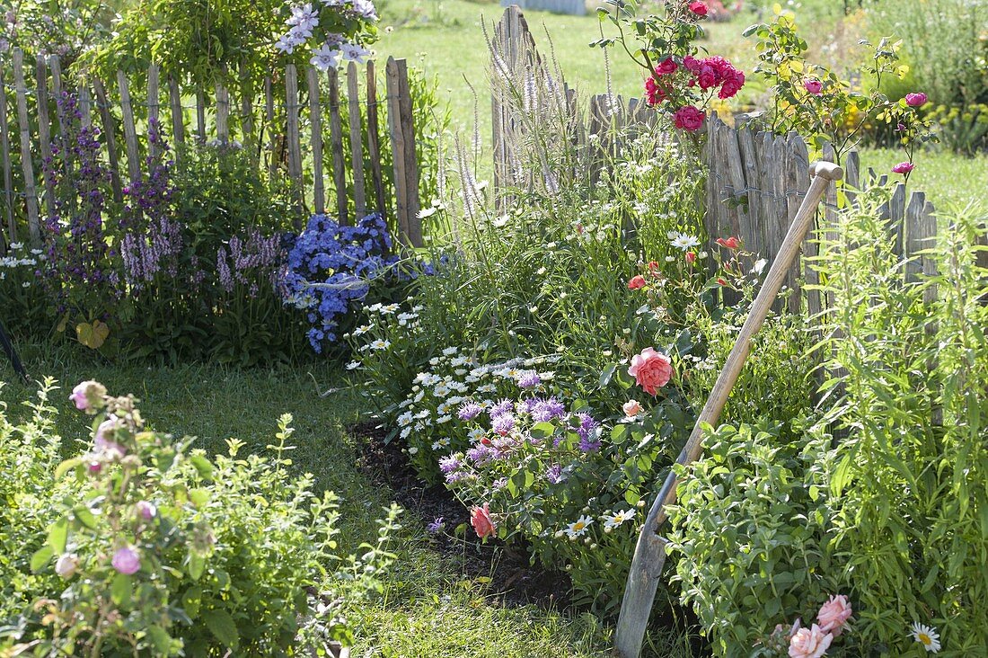 Sommerbeet mit Stauden und Rosen am Zaun