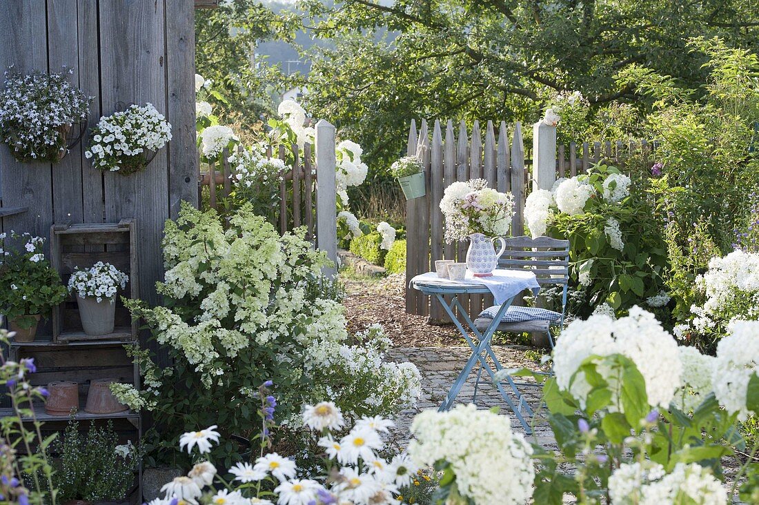 Terrace with white plants at the tool shed