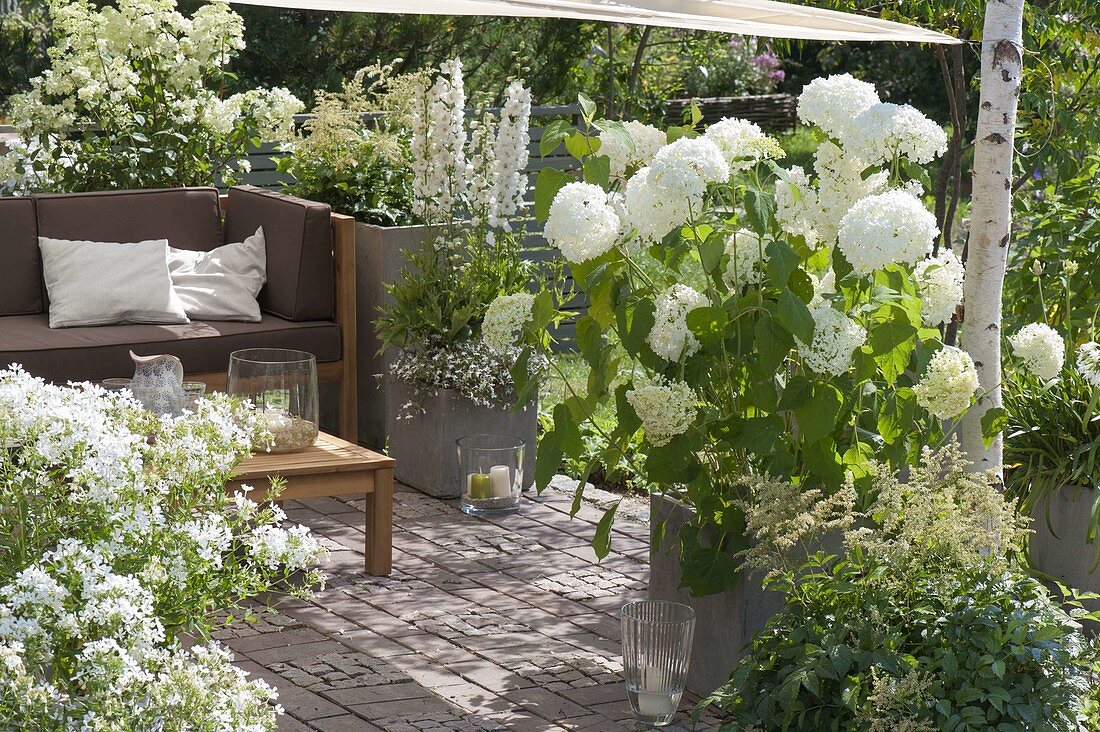 Mit Sonnensegel schattierte Terrasse mit weissen Pflanzen, Lounge-Ecke