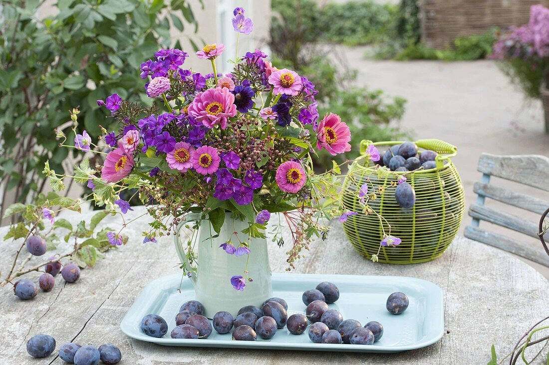 Pink-violet bouquet and freshly picked plums