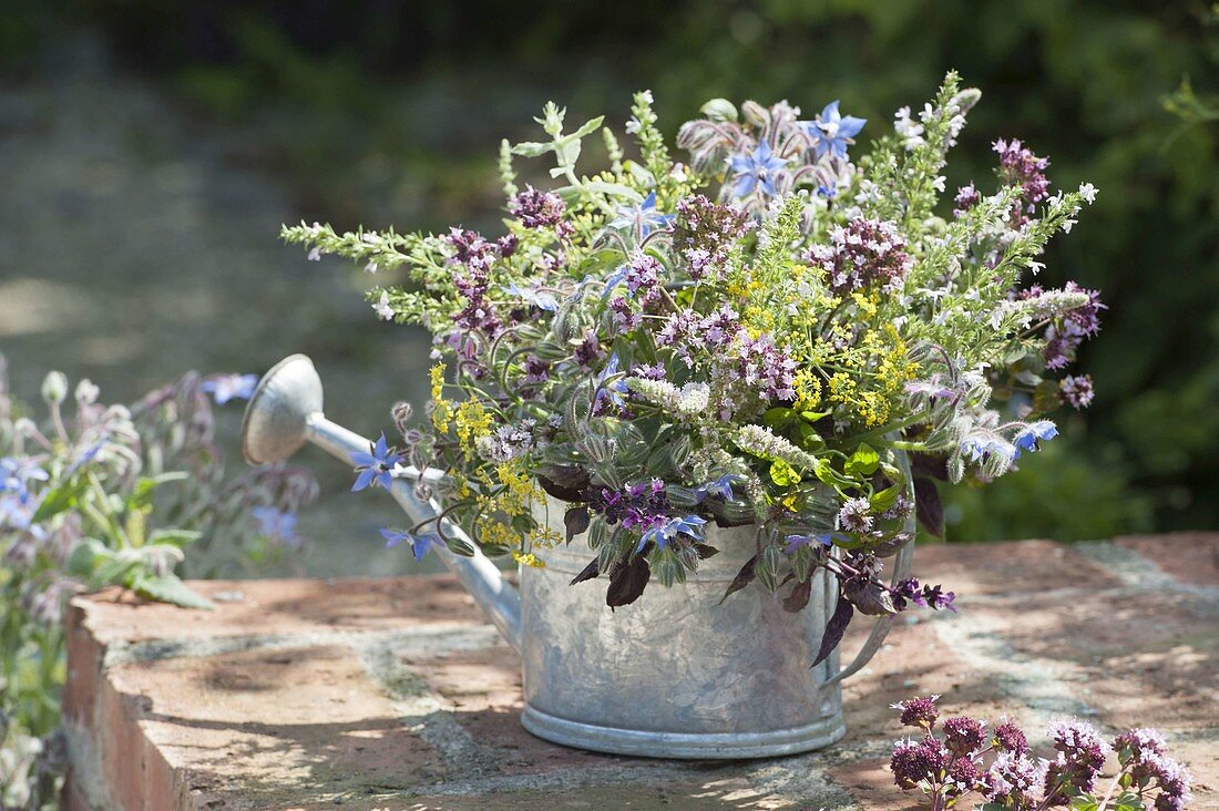 Bouquet of herb blossoms in watering can