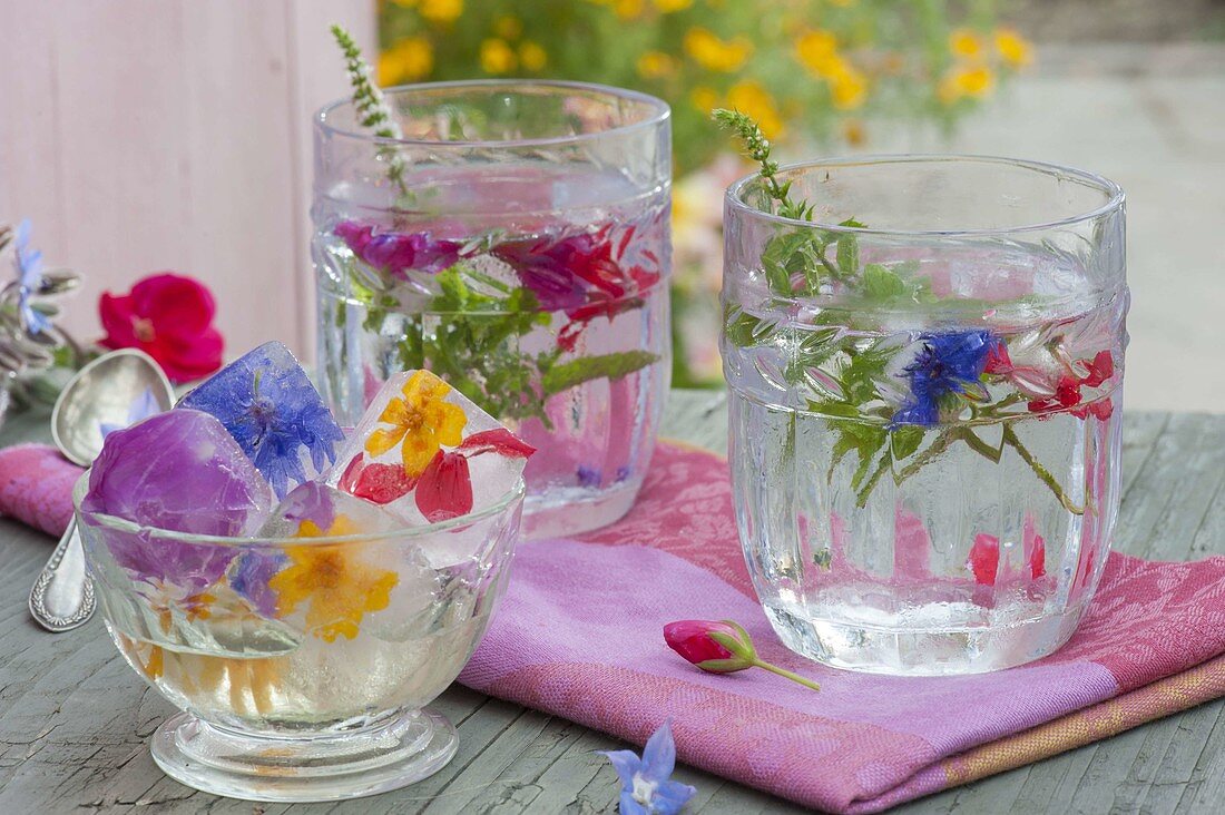 Eiswürfel mit eingefrorenen, essbaren Blüten in Gläsern