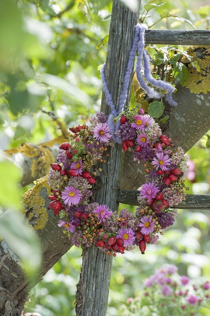 Wreath made of Aster, Sedum and Rosa