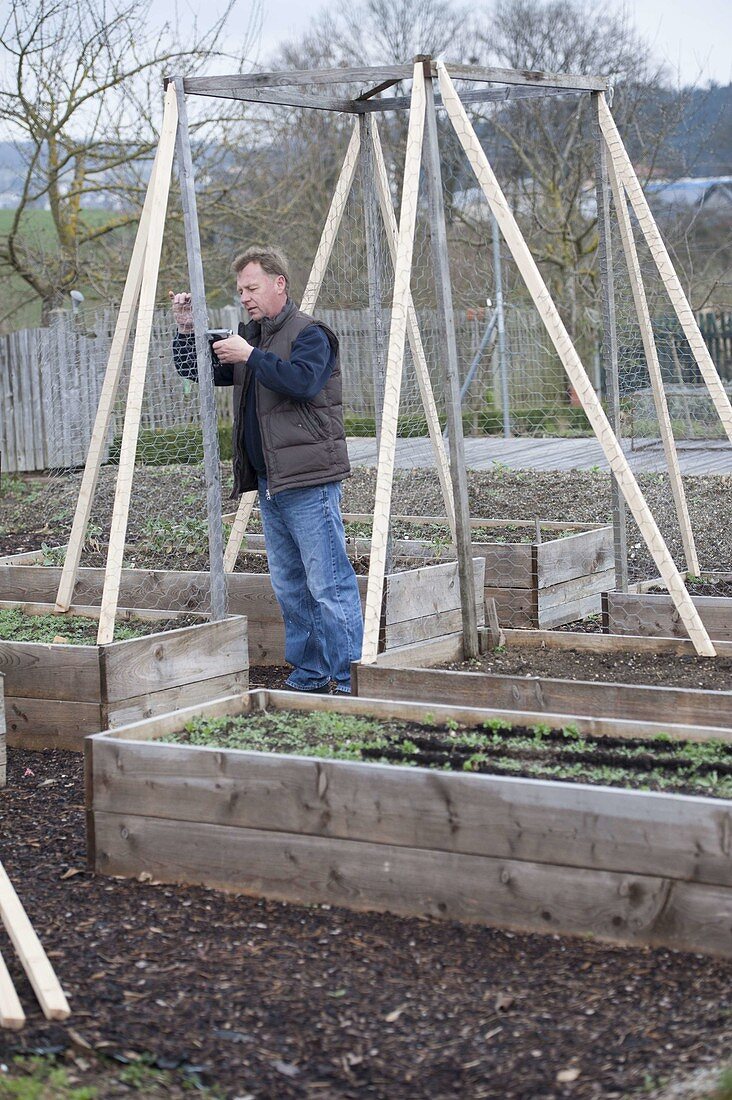 Connect self-built raised boards beds with trellis and plant