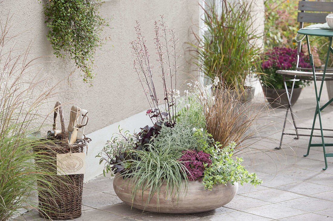 Gray bowl with perennials and grasses