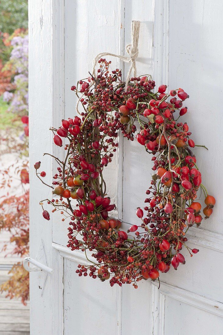 Door wreath made of different roses (rosehip) on old door