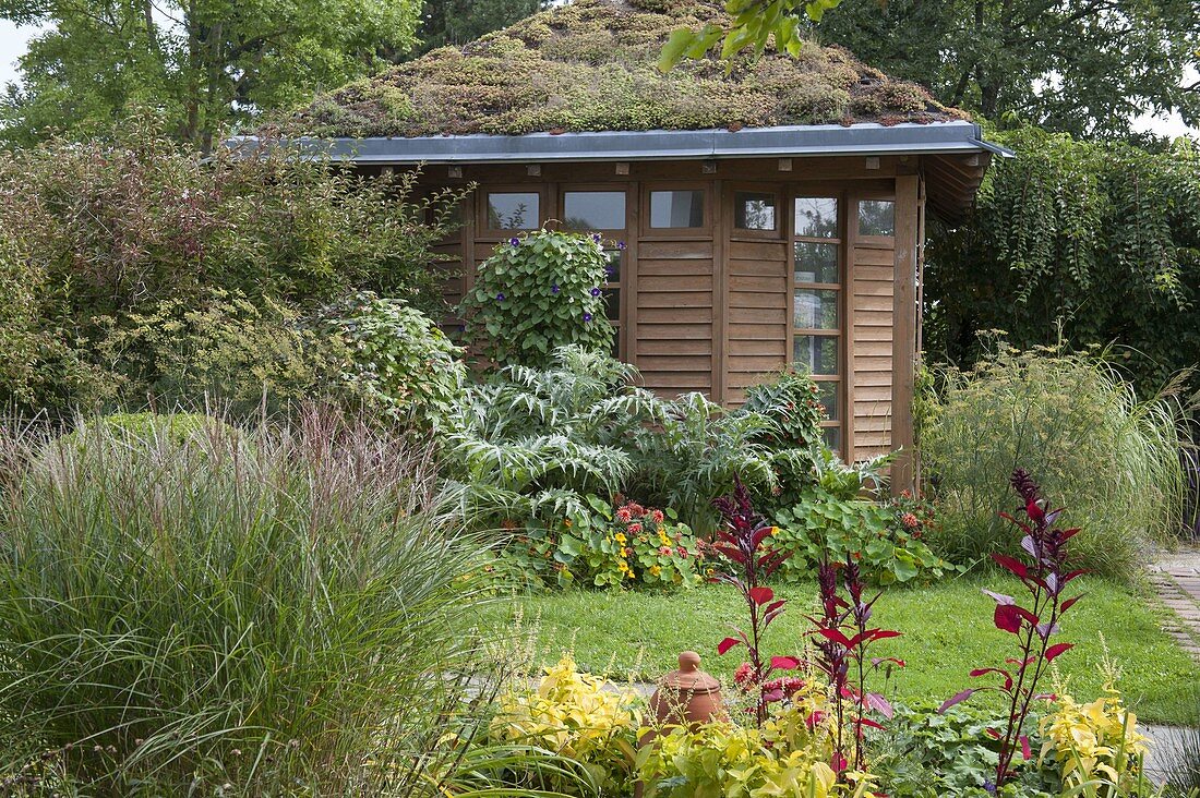 Late summer garden at the garden house with green roofs